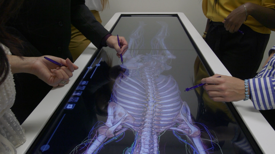 digital anatomy table